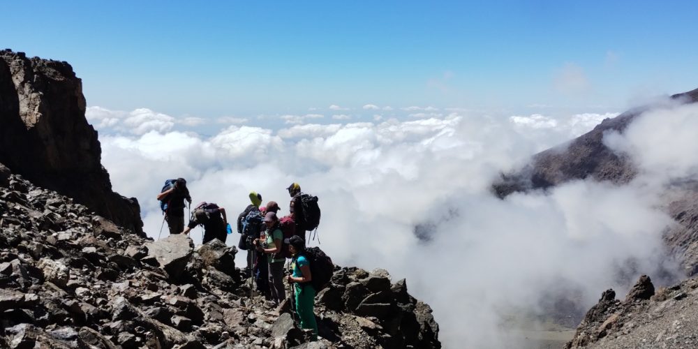 9021193f-de0a-4d63-86b0-19ab899af79b