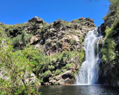 709feb08-eebc-4a05-bb22-adefc175d888 709feb08-eebc-4a05-bb22-adefc175d888