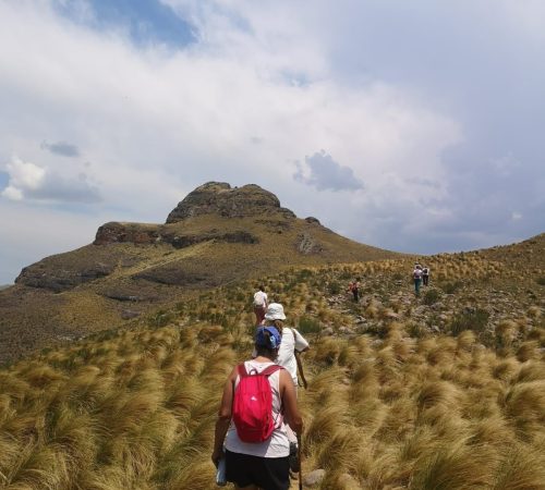 Cerro Colquichi